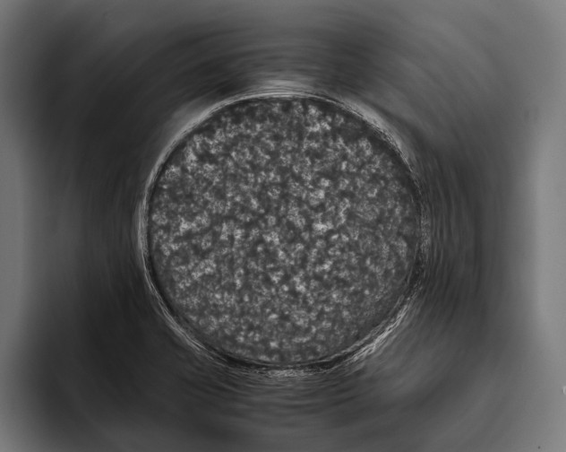 X0000093371421200711081516