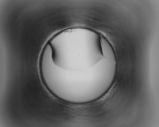X0000093371422200711081516