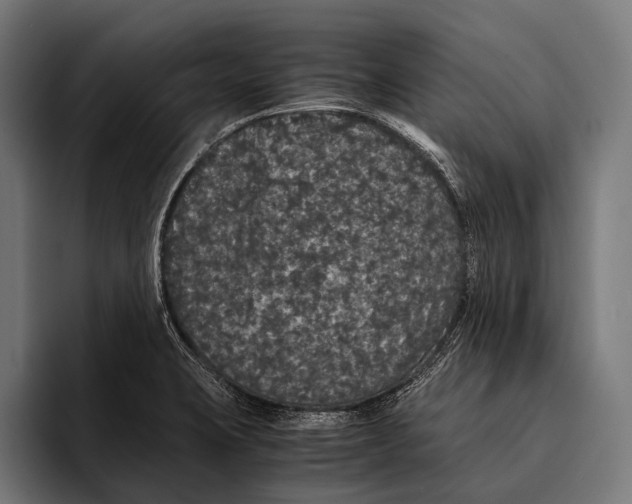 X0000093371423200711081516