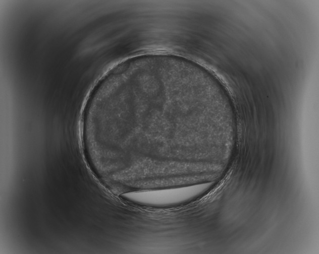 X0000093371424200711081516