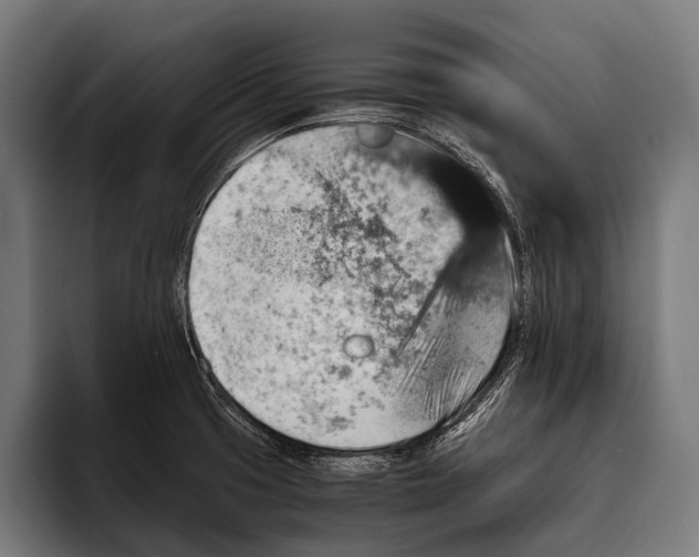 X0000093371425200711081516