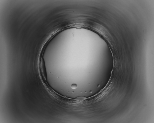 X0000093371426200711081516