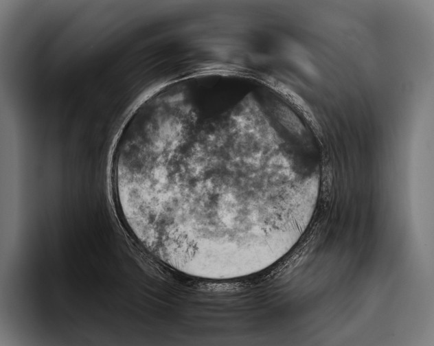 X0000093371427200711081516