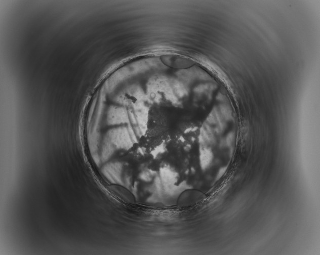 X0000093371429200711081516