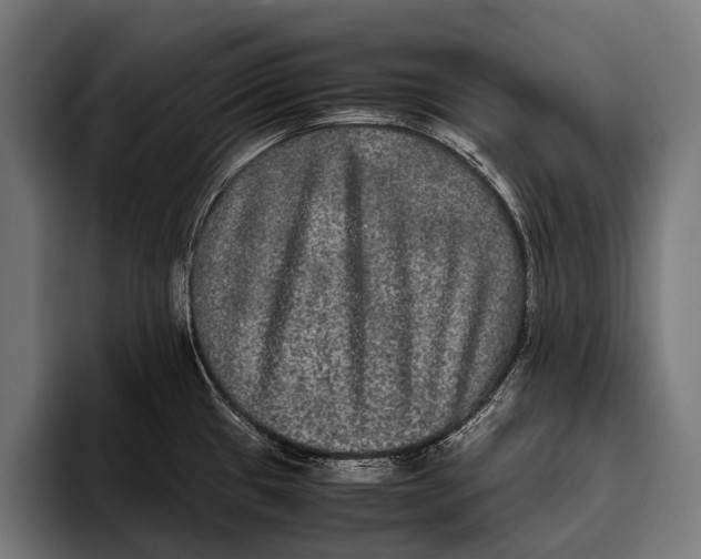 X0000093371433200711081516
