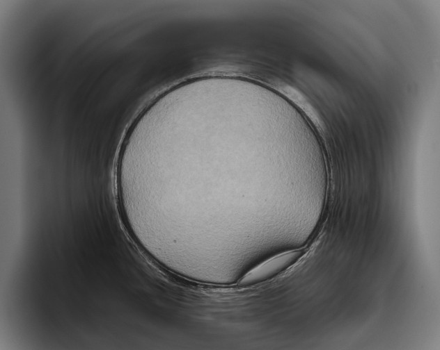 X0000093371436200711081516