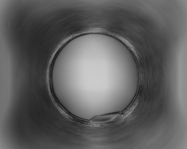 X0000093371438200711081516