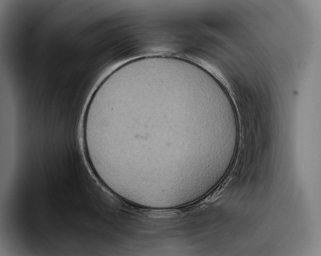 X0000093371440200711081516