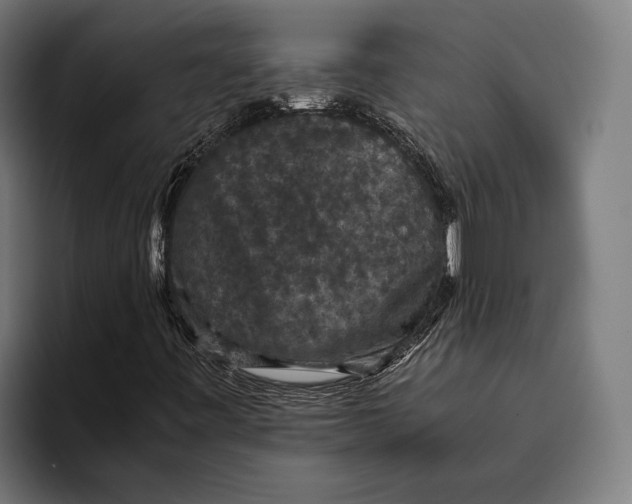 X0000093371443200711081515