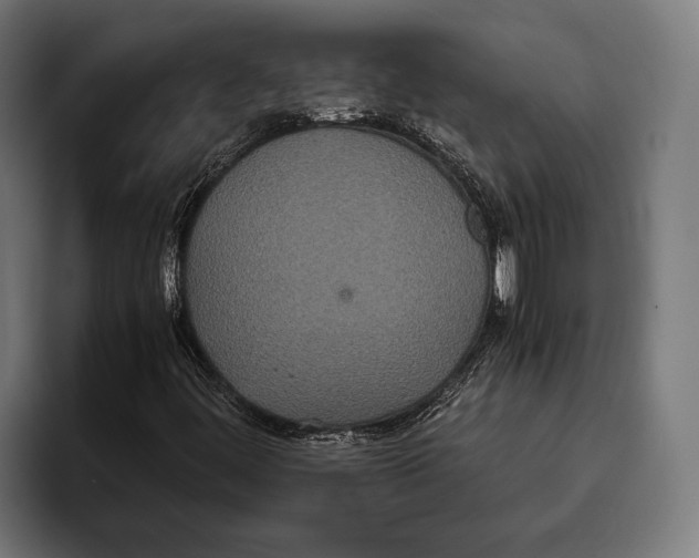 X0000093371444200711081515