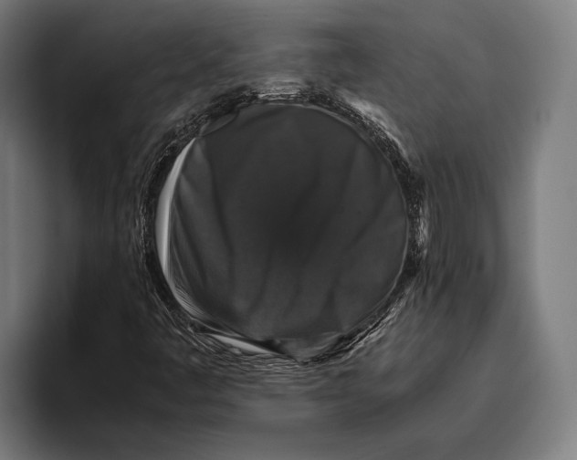 X0000093371445200711081515