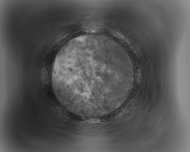 X0000093371446200711081515