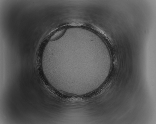 X0000093371448200711081515