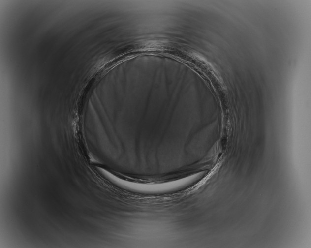 X0000093371449200711081515