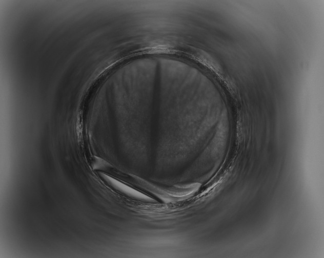 X0000093371450200711081515