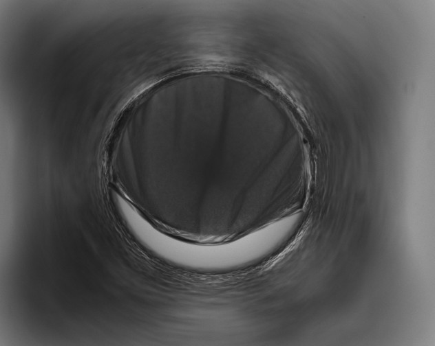 X0000093371453200711081515