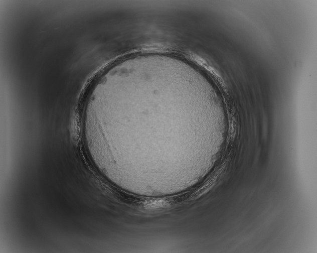 X0000093371454200711081515