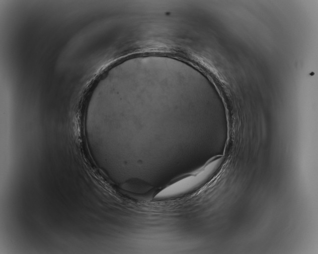 X0000093371455200711081515