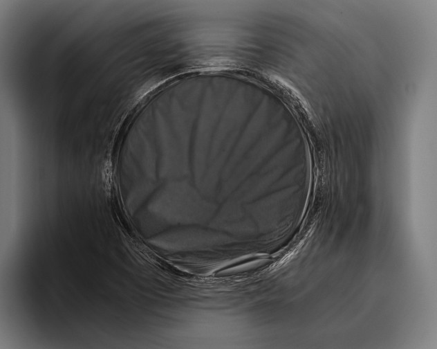 X0000093371457200711081515