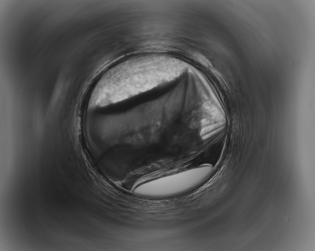 X0000093371459200711081515