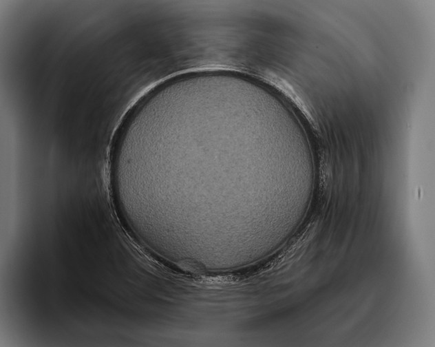 X0000093371460200711081515