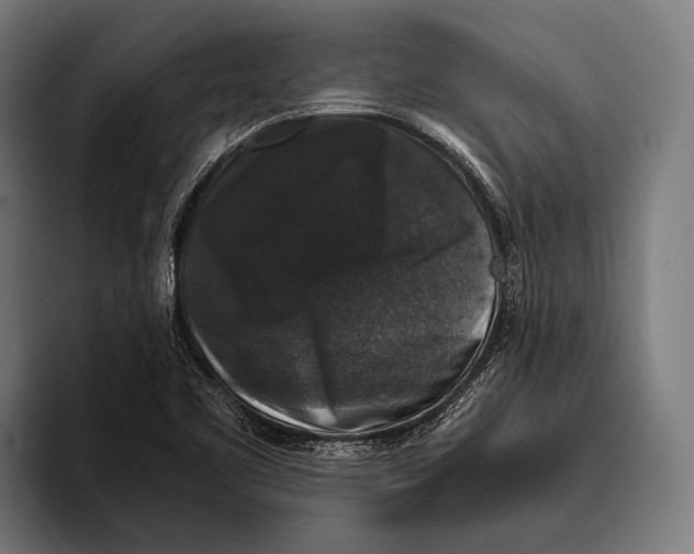 X0000093371461200711081515