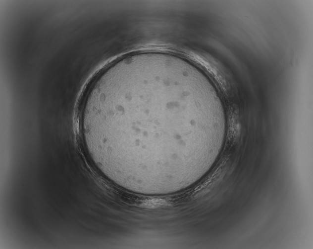 X0000093371462200711081515