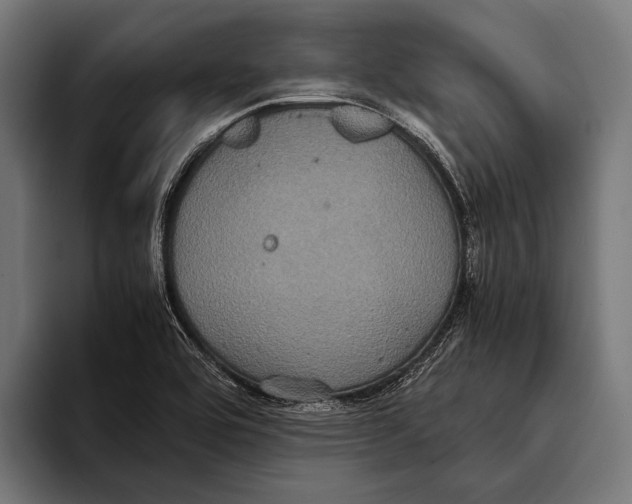 X0000093371464200711081515