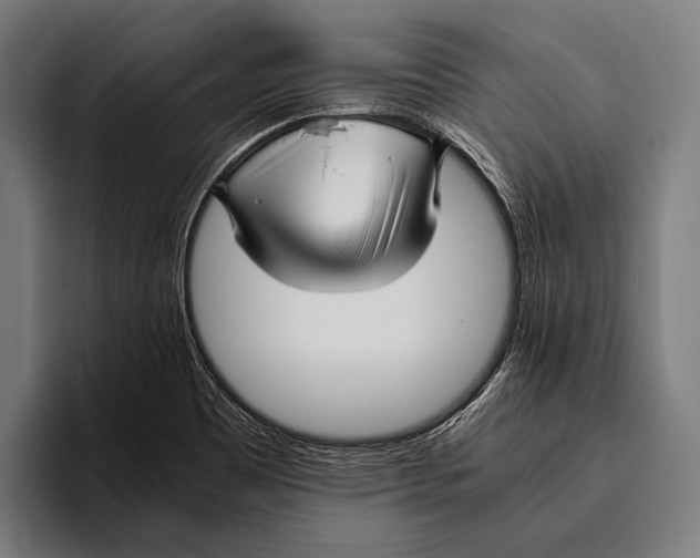 X0000093371465200711081515