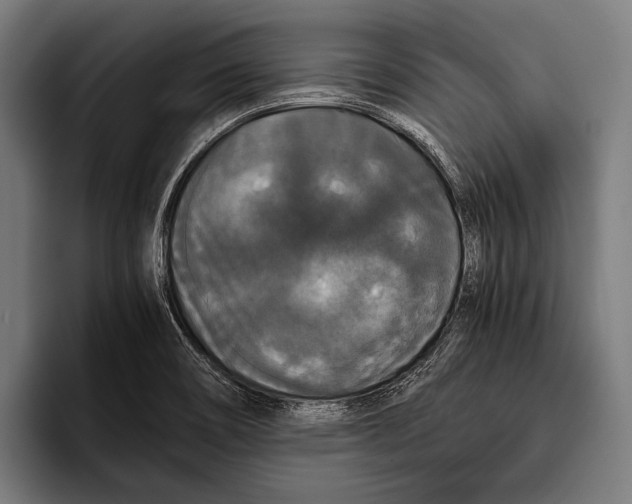 X0000093371466200711081515
