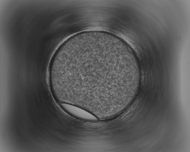 X0000093371468200711081515