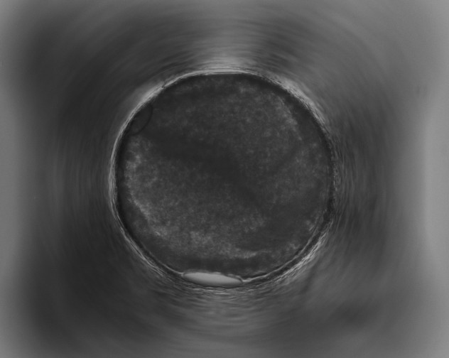 X0000093371469200711081515