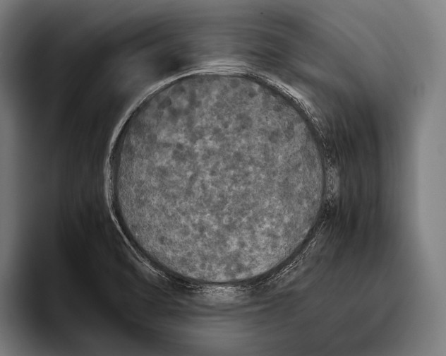 X0000093371470200711081515