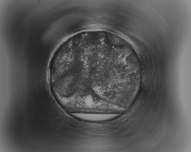 X0000093371472200711081515