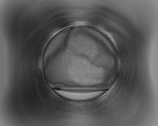 X0000093371473200711081515