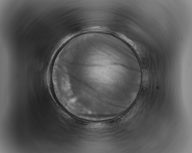 X0000093371474200711081515