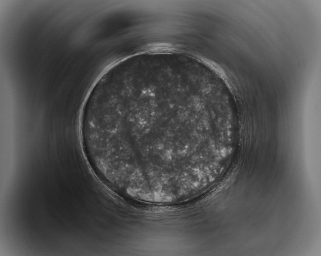 X0000093371475200711081515