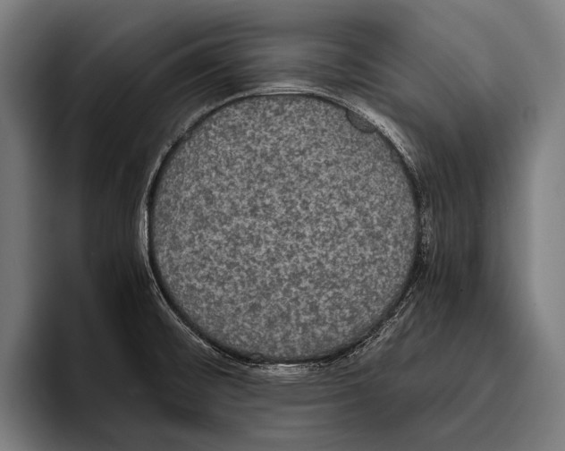 X0000093371476200711081515