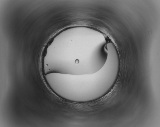 X0000093371477200711081515