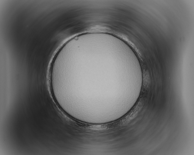 X0000093371478200711081515