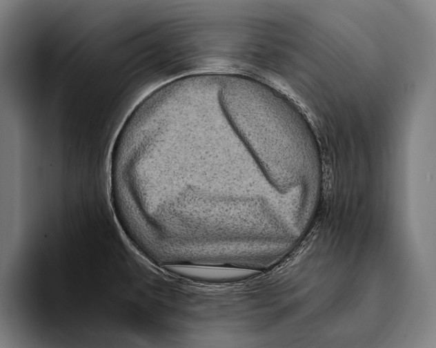X0000093371479200711081515