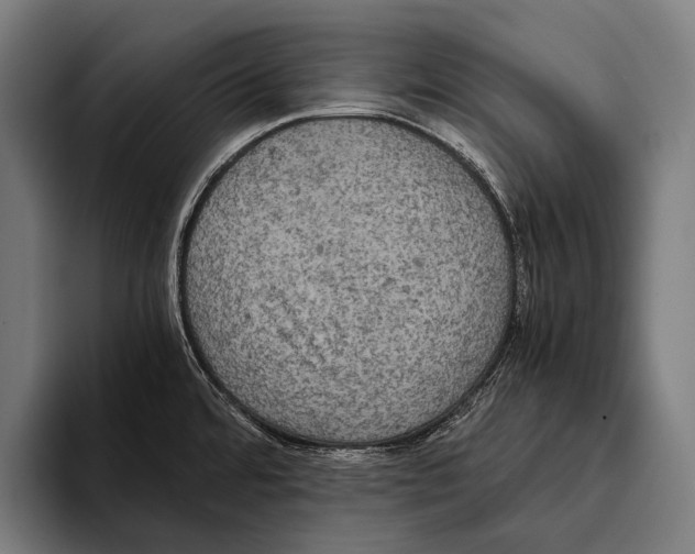 X0000093371480200711081515