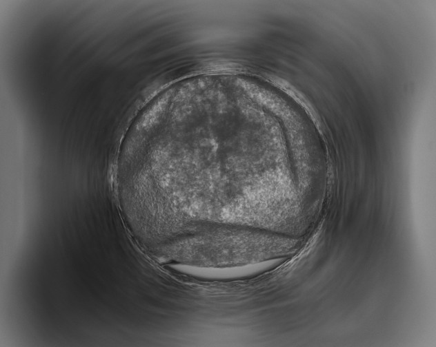 X0000093371481200711081515