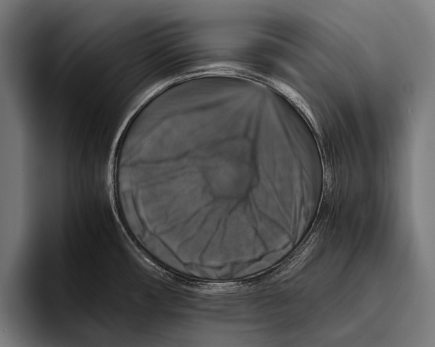 X0000093371482200711081515