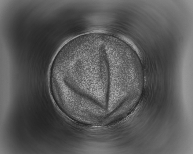 X0000093371483200711081515