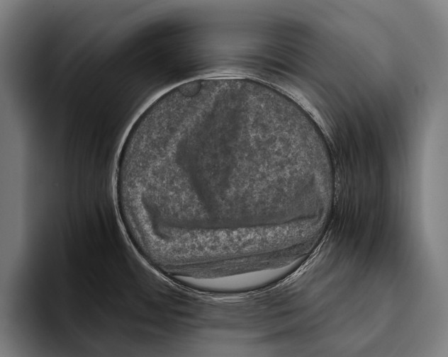 X0000093371484200711081515