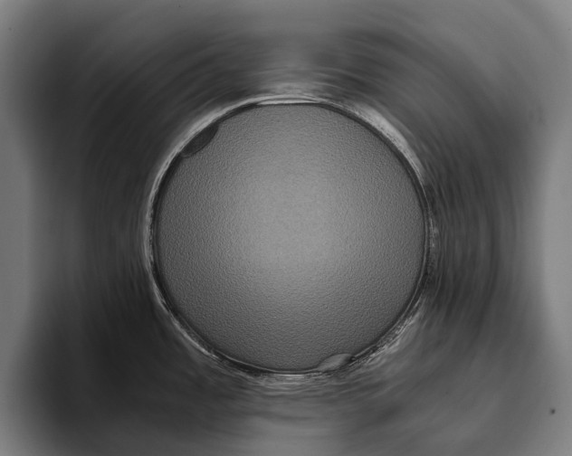 X0000093371485200711081515