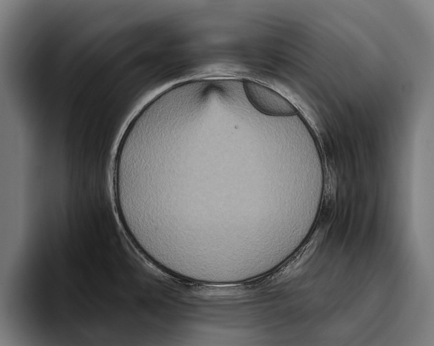 X0000093371486200711081515