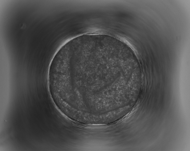 X0000093371487200711081515