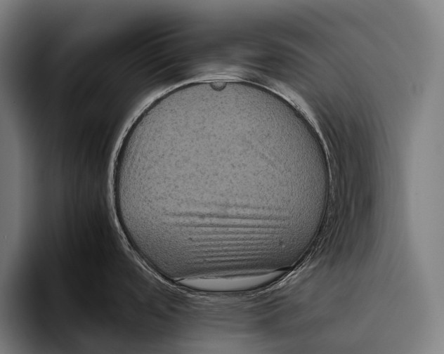 X0000093371488200711081515